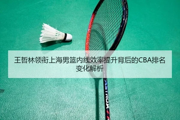 王哲林领衔上海男篮内线效率提升背后的CBA排名变化解析（leyu）
