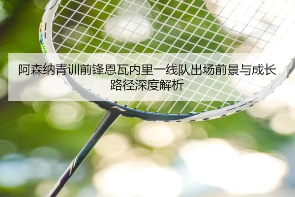 阿森纳青训前锋恩瓦内里一线队出场前景与成长路径深度解析（leyu）
