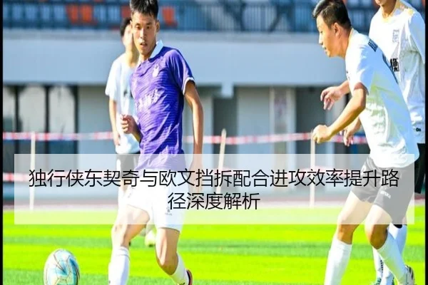 du-xing-xia-dong-qi-qi-yu-ou-wen-dang-chai-pei-he-jin-gong-xiao-lv-ti-sheng-lu-jing-shen-du-jie-xi-2-647.jpg