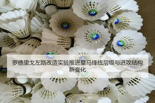 罗德里戈左路改造实验推进皇马锋线层级与进攻结构新变化（leyu）